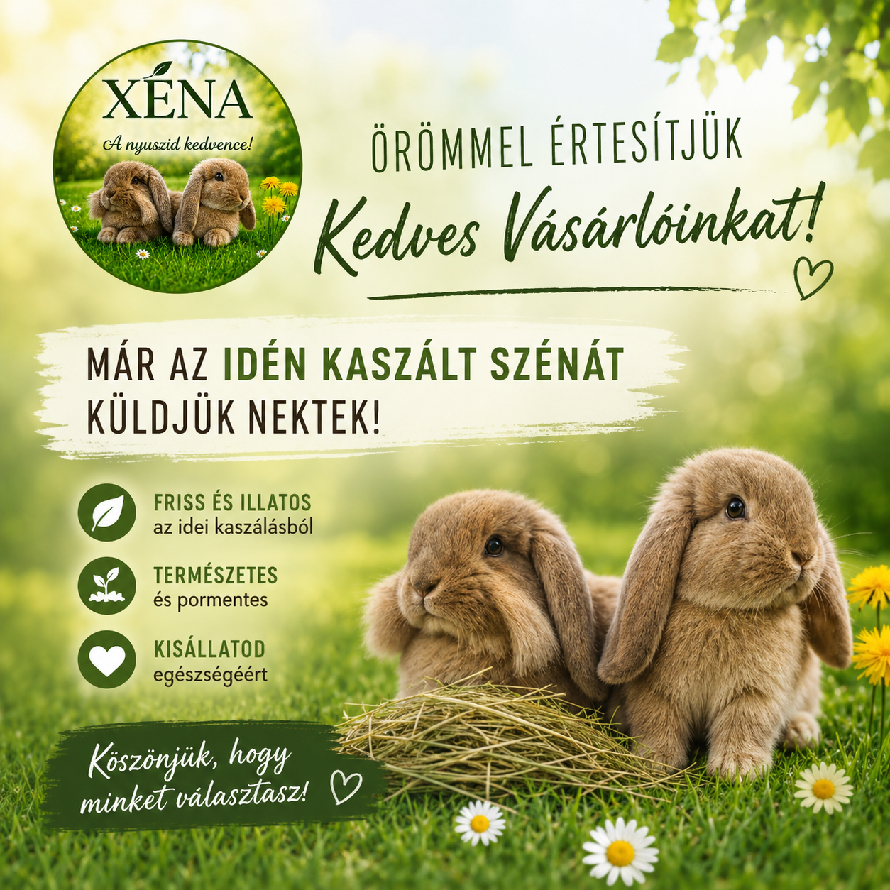XÉNA - Friss széna